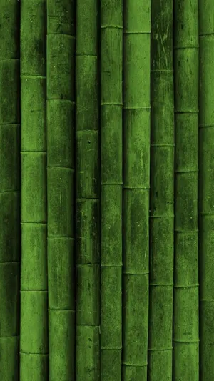 Dark Green Iphone Bamboo Trees Wallpaper