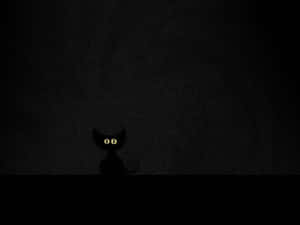 Dark Halloween Catwith Glowing Eyes Wallpaper