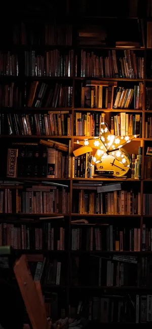 Dark Home Library Bookshelf Wallpaper