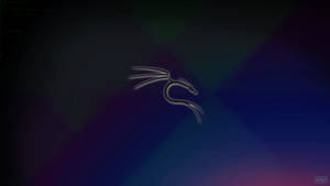 Dark Kali Linux 3d Wallpaper
