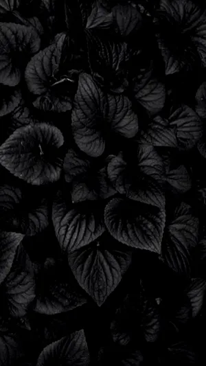 Dark Leafy Texture Background Wallpaper
