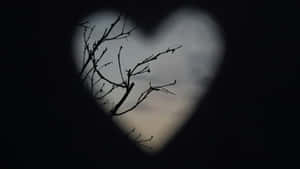 Dark Love Heart Shadow Wallpaper
