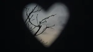 Dark Love Heart Shadow Wallpaper