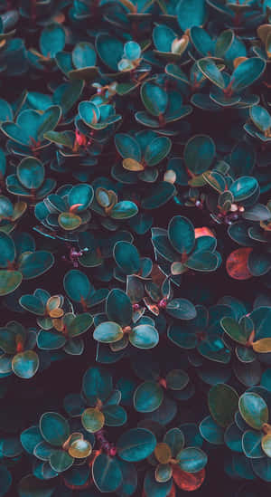 Dark Moody Foliage Texture Wallpaper
