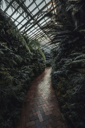 Dark Moody Greenhouse Pathway.jpg Wallpaper