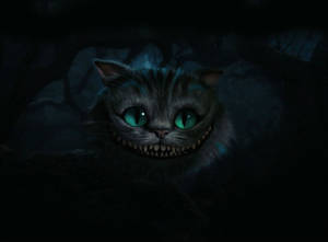Dark Mystery Cheshire Cat Alice In Wonderland Wallpaper