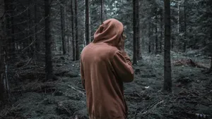 Dark Orange Hoodie In Forest Wallpaper
