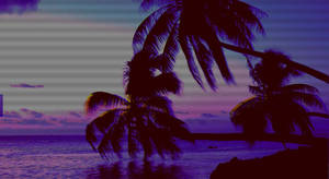 Dark Palm Trees Aesthetic Wallpaper