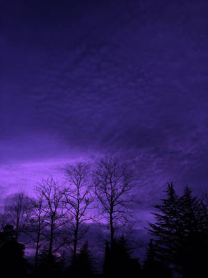 Dark Purple Aesthetic Nature Wallpaper