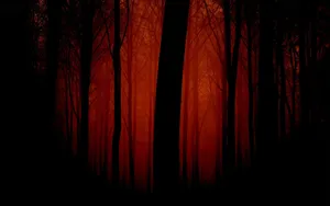 Dark Red Forest Wallpaper