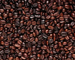 Dark Roasted Coffee Beans Shining Wallpaper