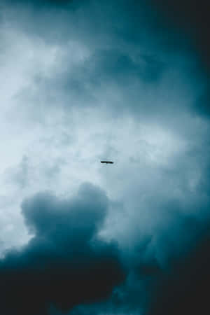 Dark Sky Solitude Bird Flight Wallpaper