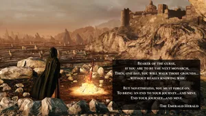 Dark Souls Emerald Herald In Majula Wallpaper