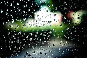 Dark Tiny Raindrops On Green Bokeh Wallpaper