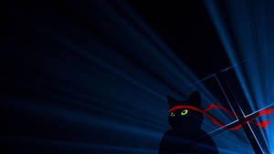 Dark Windows Cat Ninja Wallpaper