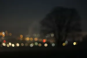 Dark Winter Bokeh Tree Nightscape.jpg Wallpaper