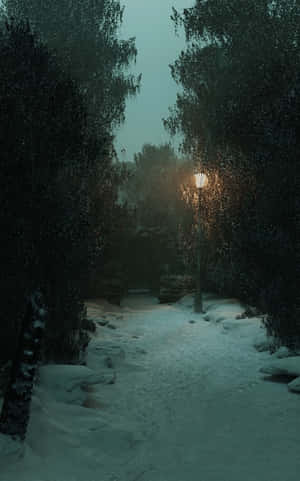 Dark Winter Lamp Path.jpg Wallpaper