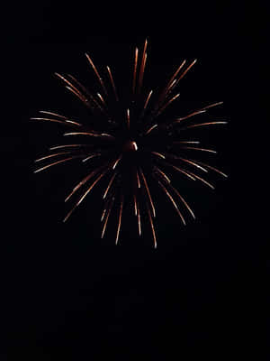 Dark Yellow Fireworks Display Portrait Wallpaper