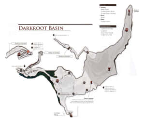 Darkroot Basin Map Dark Souls Wallpaper