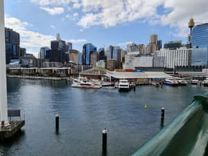 Darling Harbor Sydney Cityscape Waterfront Wallpaper