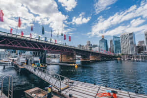 Darling Harbour Bridge Sydney Australia Wallpaper