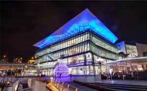 Darling Harbour Sydney Evening Lights Wallpaper