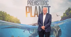 David Attenborough Wallpaper