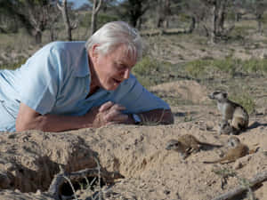 David Attenborough Wallpaper