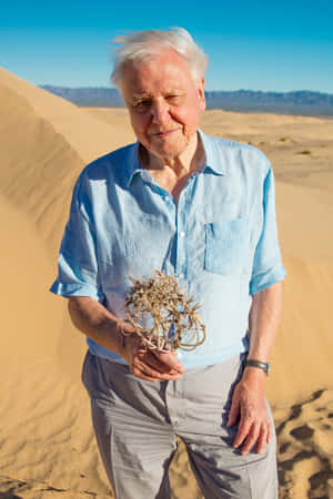 David Attenborough Wallpaper