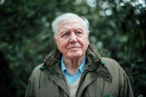 David Attenborough Wallpaper