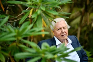 David Attenborough Wallpaper