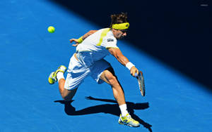 David Ferrer Blue Court Wallpaper