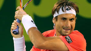 David Ferrer Funny Expression Wallpaper