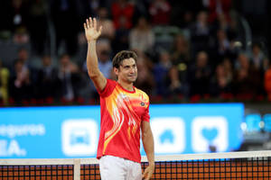 David Ferrer Hand Up Wallpaper