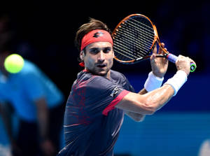 David Ferrer In Action Wallpaper