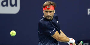 David Ferrer Look Of Concentration Wallpaper