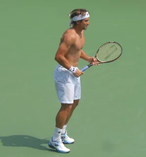 David Ferrer Shirtless Wallpaper