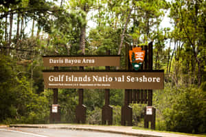 Davis Bayou Campground Mississippi Wallpaper