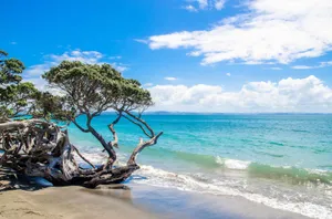 Dawn Over Auckland, New Zealand Wallpaper