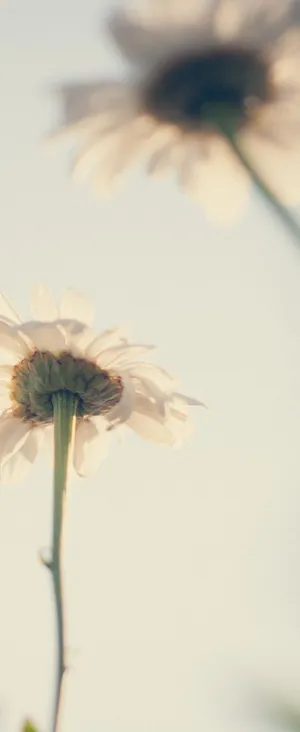 Dazzling City Nightscape Wallpaper