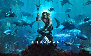 Dc Comics Aquaman With Sharks Wallpaper