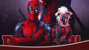 Deadpool And Dogpool Duo Wallpaper