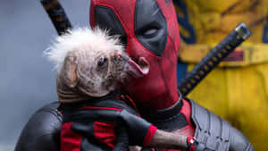 Deadpool Holding Dog Wallpaper