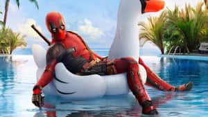 Deadpool Swimming Pool Relaxation Wallpaper