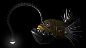 Deep Sea Anglerfish Illumination.jpg Wallpaper