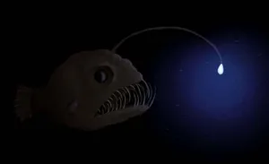 Deep Sea Anglerfish Illumination Wallpaper