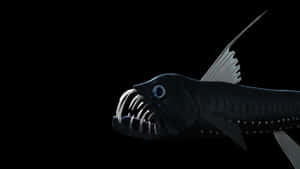 Deep Sea Viperfishin Darkness Wallpaper
