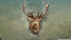Deer Hunting Head Artistic Painting Wallpaper