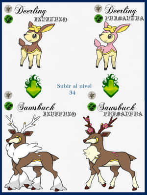 Deerling Sawsbuck Seasonal Forms Wallpaper