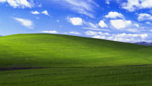 Default Bliss Windows 1 Wallpaper